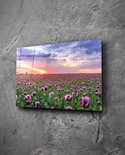 Obraz - zachód słońca i tulipany